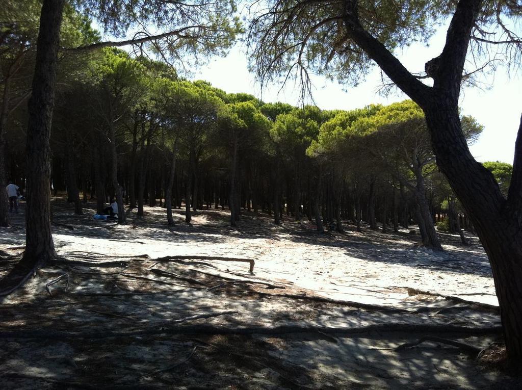Case Vacanze Budoni Beach Quarto foto